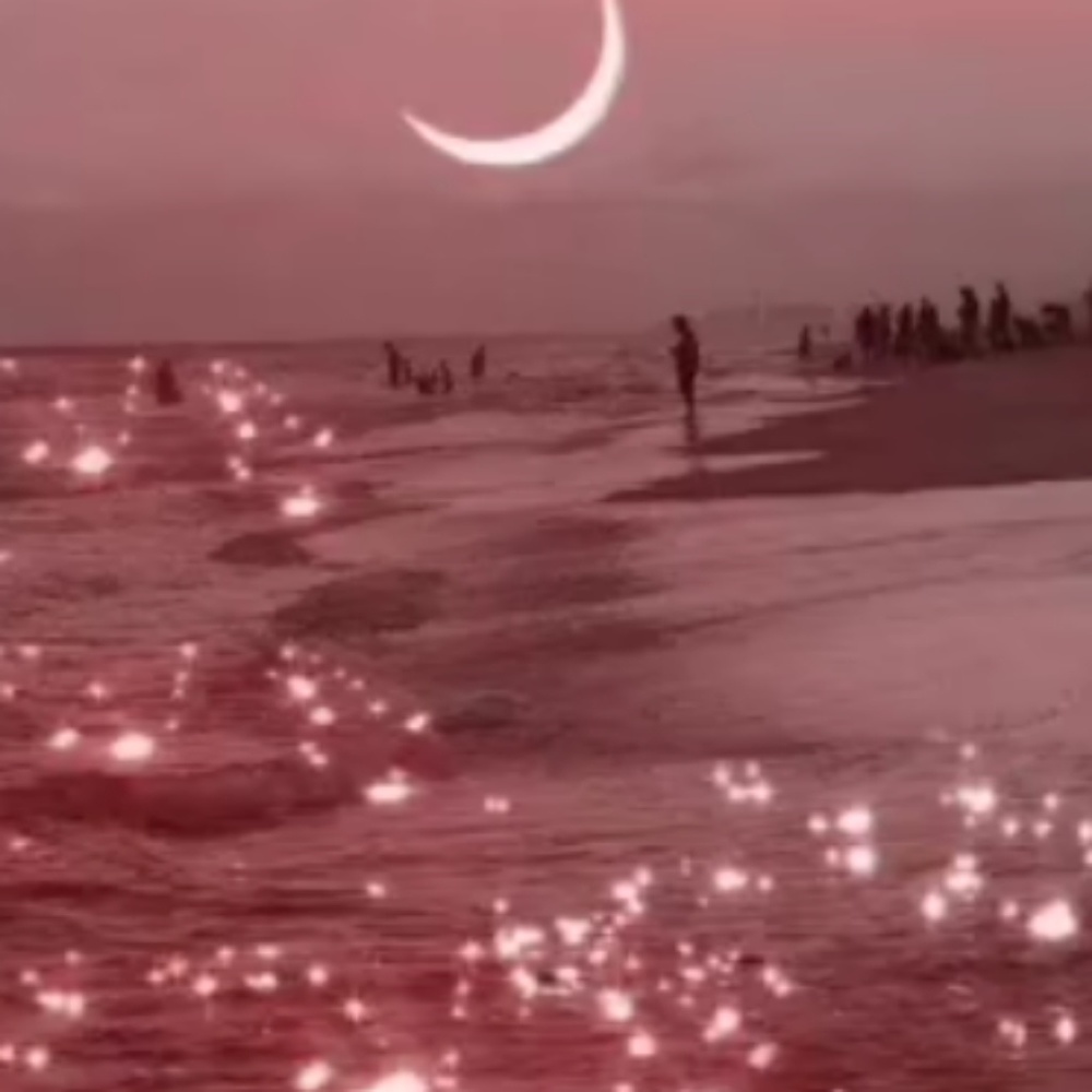 Meet your Posher, Sisi